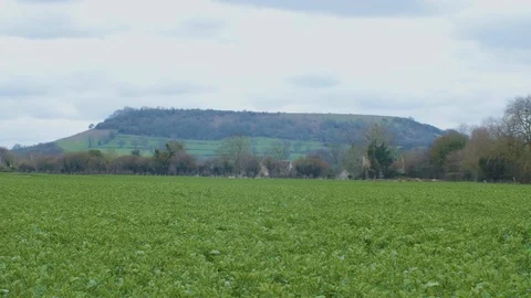 Hill Behind Field Low Angle 4k Stock Footage 88070096