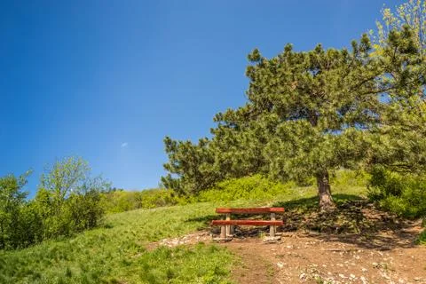 Hill with a bench Stock Photos