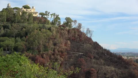 Hill Burnt After Monte Mario Fire in Rome Stock Footage 285076217