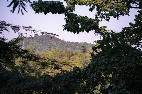 A hill captured from the far between a bunch of trees Stock Photos