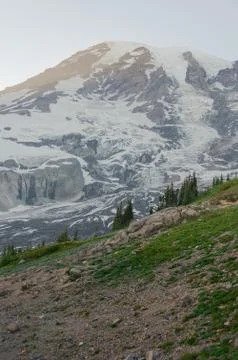 Hill, cedar trees and mountain Rainier Stock Photos