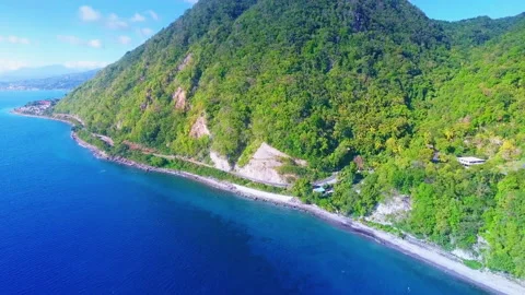 Hill covered with a forest Stock Footage 138221264