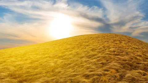 Hill covered by grass at the sunset time lapse scene Stock Footage 162849795