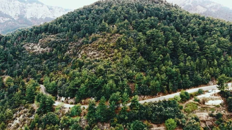 A hill covered with lush greenery, trees and bushes, a road passing on it, Stock Footage 145162394