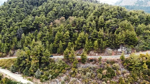 A hill covered with lush greenery, trees and bushes, a road passing on it with Stock Footage 145162532
