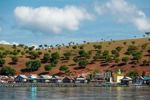 A hill covered by small trees on Padar island Foto stock