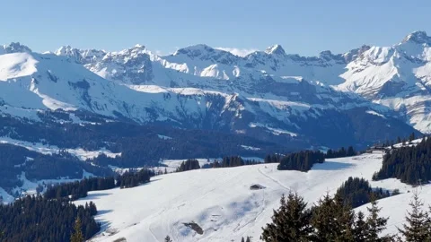 Hill covered in snow of Alpine mountain with fir trees forest Video stock 202347703