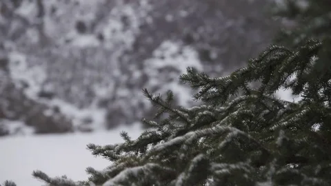 Hill covered with snow during winter Video stock 84505947