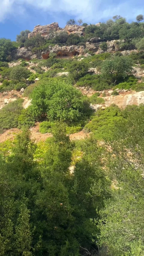 The Hill. Elevation. Mountain. Vertical video Stock Footage 286336323