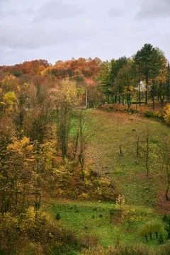 Hill in the fall, green grass ,surrounded with trees with colorful leaves. Stock Photos