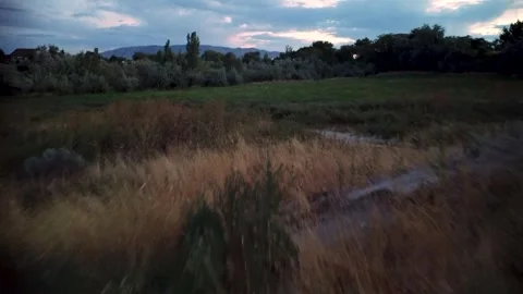 Hill-Field-Sky 動画素材 247228830