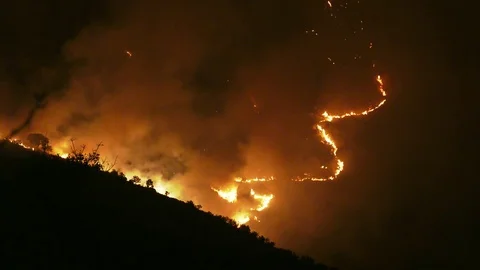 Hill on fire at night with fire in backround Stock-Footage 80952439