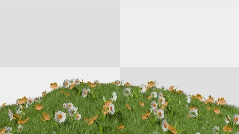 Hill of Flower Stock Footage 316062680
