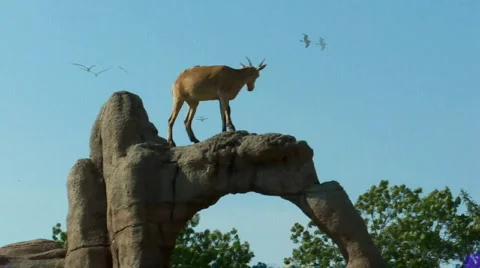 Hill Stock Footage 512225