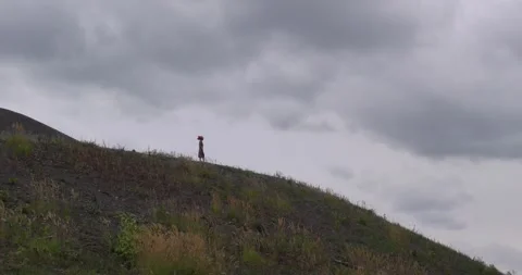 On the hill Stock Footage 263544057