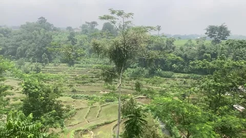 HILL Stock Footage 273053989