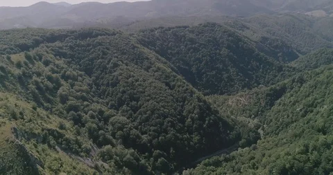 Hill with forest in 4K Stock Footage 127172706