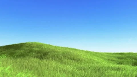 Hill Grass with Blue Sky Loop with Alpha Channel Video stock 240864205