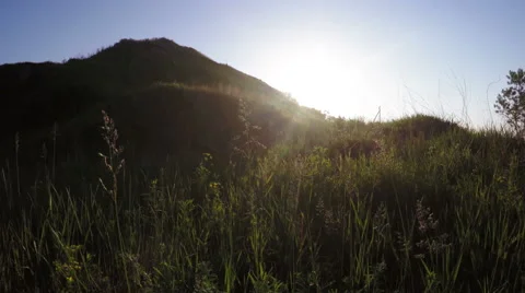 Hill with grass Stock-Footage 50252612