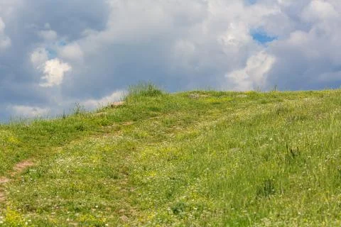 Hill with grass Stock Photos