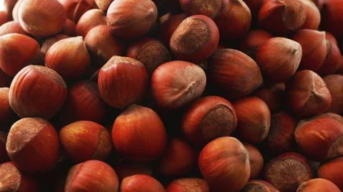 Hill of hazelnuts close-up. Smooth rotation Stock Footage 218695473