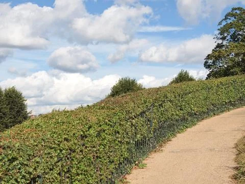 Hill hedge Stock Photos