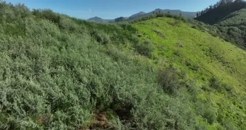 Hill Hiding the Mountains Stockbeeldmateriaal 235873851
