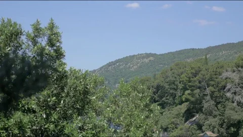 Hill landscape with trees Stock Footage 76956873