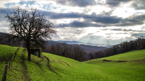 Hill landscape in winter with tree and fir in the evening timelapse Stock Footage 45729200