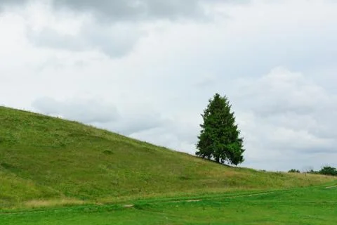 The hill with a lonely tree Stock Photos