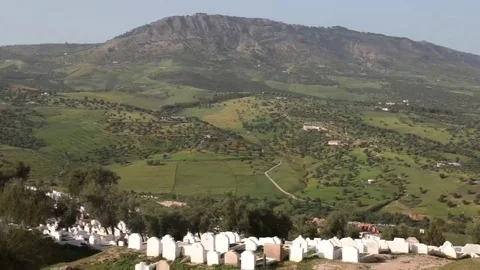 Hill looking over cementery Stock Footage 69109546