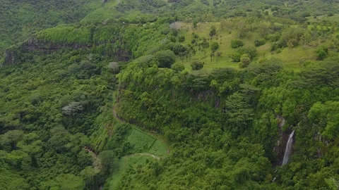 Hill in the middle of the Jungle Stock Footage 147937779