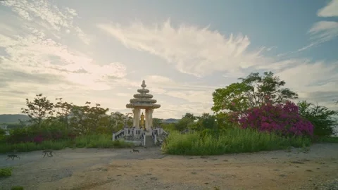 Hill Monkeys 01 Stock Footage 289120963