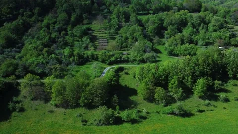 Hill next to the field and forest by the lake Stock Footage 154377793