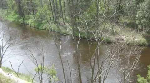 On hill overlooking river, pan left Stock Footage 720101