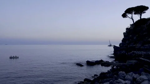 Hill with Pines over the Seashore Video stock 82846485