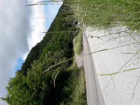 Hill road with trees sky with clouds 写真素材