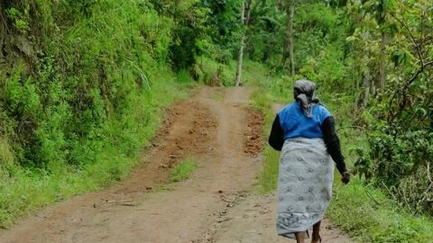 Hill sand road Stock Footage 163981766