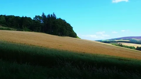 Hill in the shade of a cloud Stock Footage 82811131
