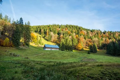 Hill side hut on mountain besides forest Stock Photos