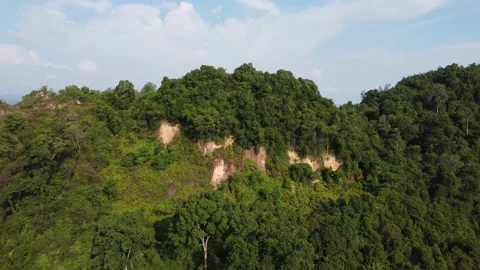 Hill slope tree is cleared Stock Footage 157389420