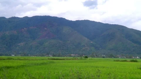 Hill Slopes Stock Footage 328904302