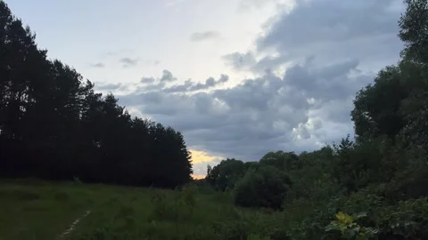 Hill with small winding path surrounded by pine trees on the left and simple Stock Footage 320156786