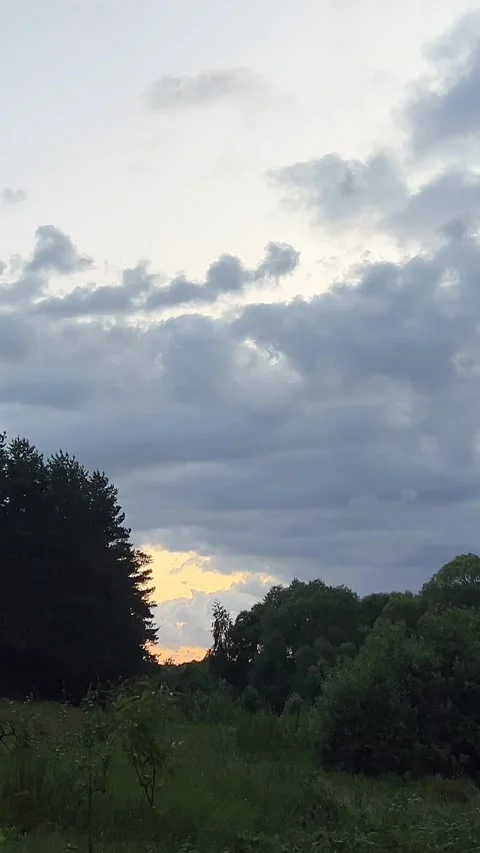 Hill with small winding path surrounded by pine trees on the left and simple Stock Footage 320674321