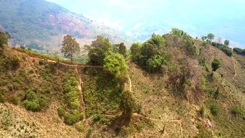 Hill steep slope with ground paths leading to top Video stock 100420250