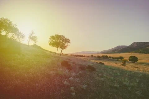 Hill at sunset Stock Photos