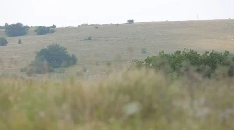 The Hill Through the Grass. 库存影片 65823023