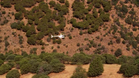 Hill, Tree, Flying, Mid-Air, Helicopter, Wide Shot, 10 Seconds Or Greater, Stock Footage 95820680