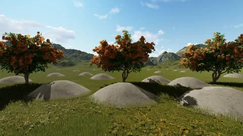 Hill with Tree Stock Footage 337297079