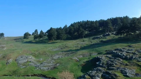 Hill tree panorama aerial view Stock Footage 87889976